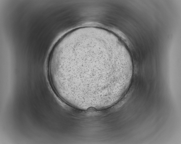 X0000110861430200907091331