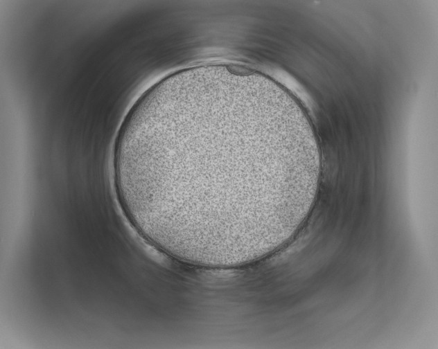 X0000110861431200907091331