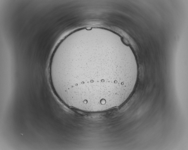 X0000110861432200907091331