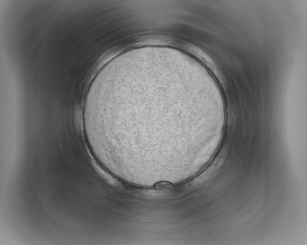 X0000110861433200907091331