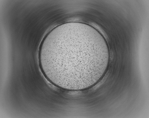 X0000110861434200907091331