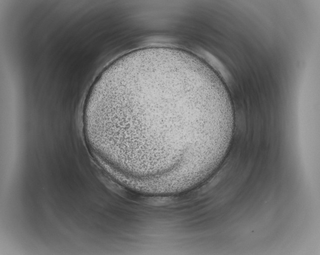 X0000110861435200907091331