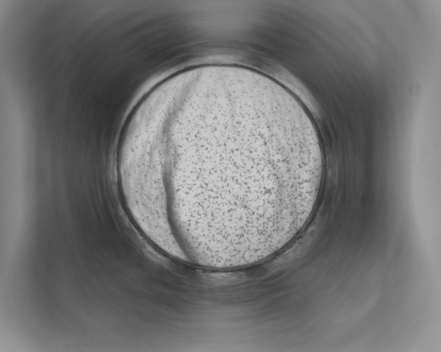 X0000110861436200907091331