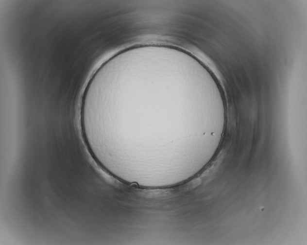 X0000110861437200907091331