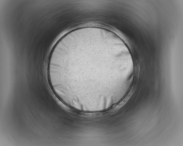 X0000110861438200907091331