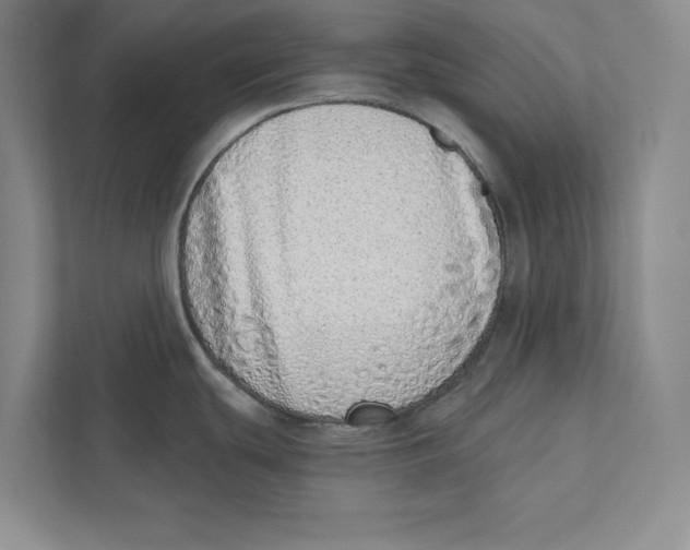 X0000110861439200907091331