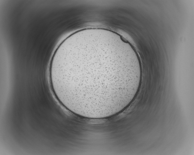 X0000110861440200907091331