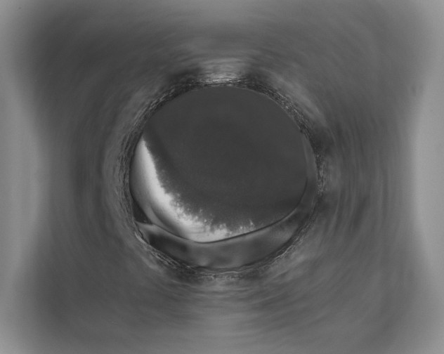 X0000110861441200907091331