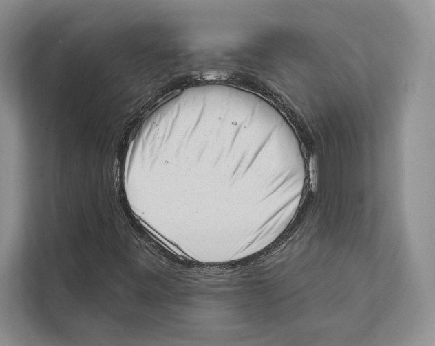 X0000110861443200907091331