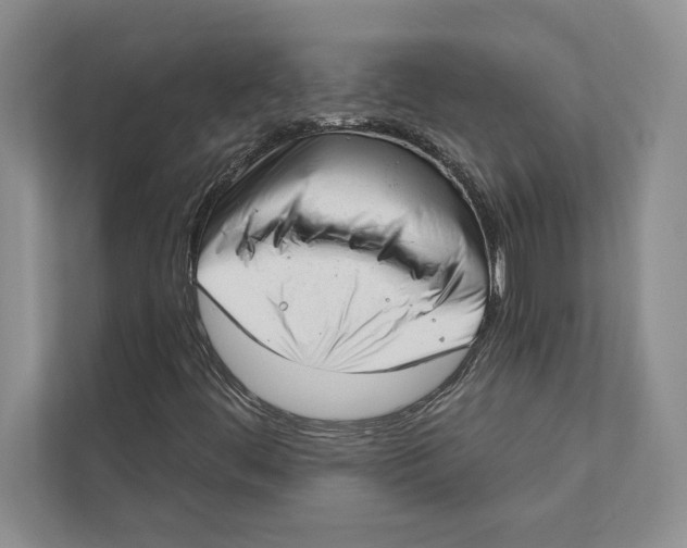 X0000110861444200907091331