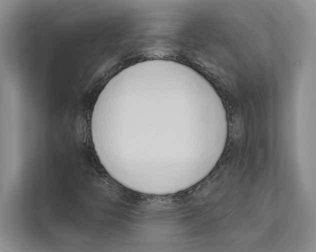 X0000110861446200907091331