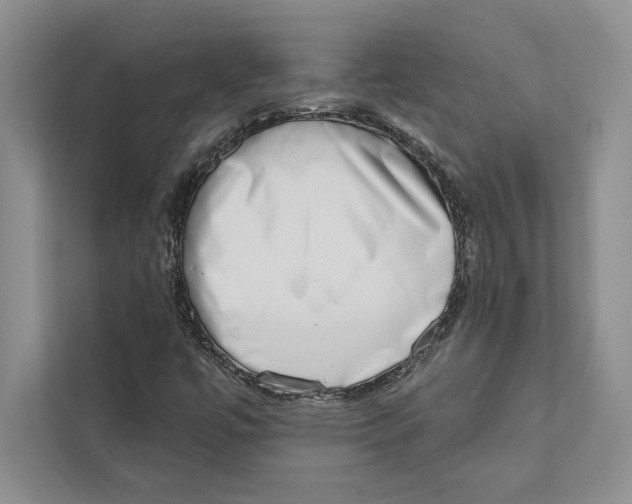 X0000110861447200907091331