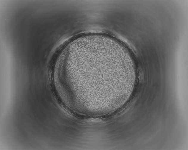 X0000110861448200907091331