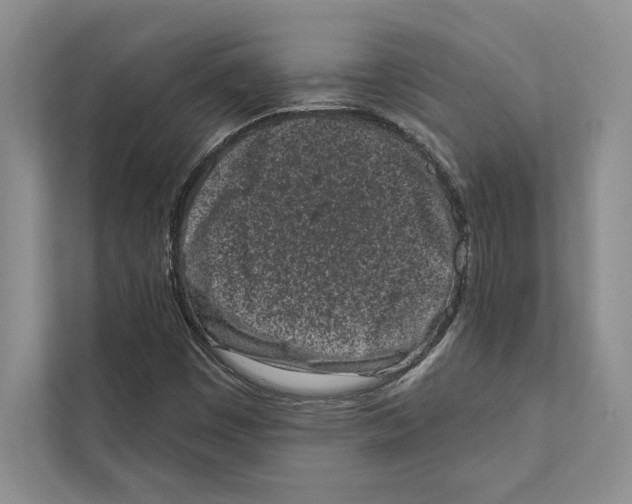 X0000110861449200907091331