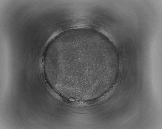 X0000110861450200907091331