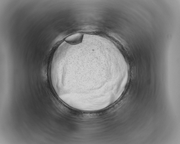 X0000110861451200907091331