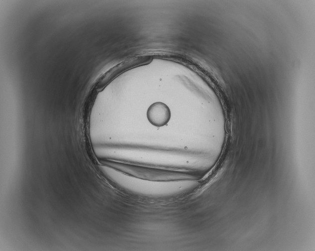 X0000110861453200907091331