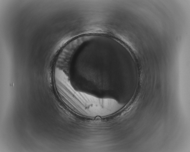 X0000110861455200907091331