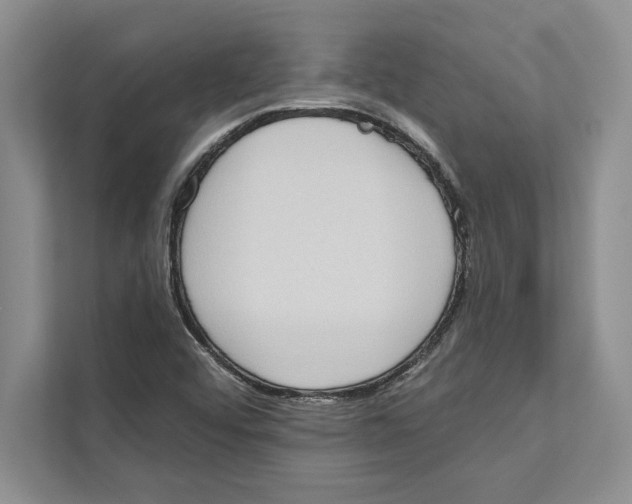 X0000110861456200907091331