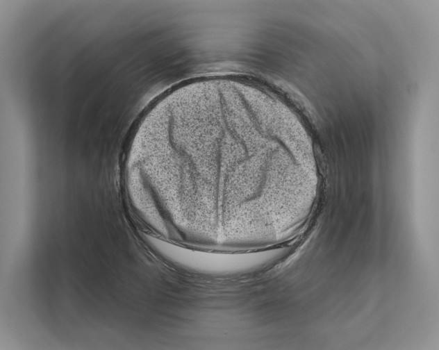 X0000110861457200907091330