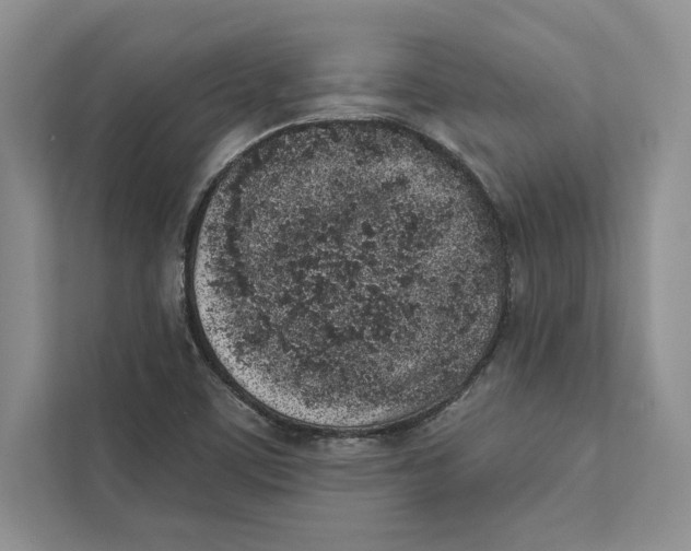 X0000110861459200907091330