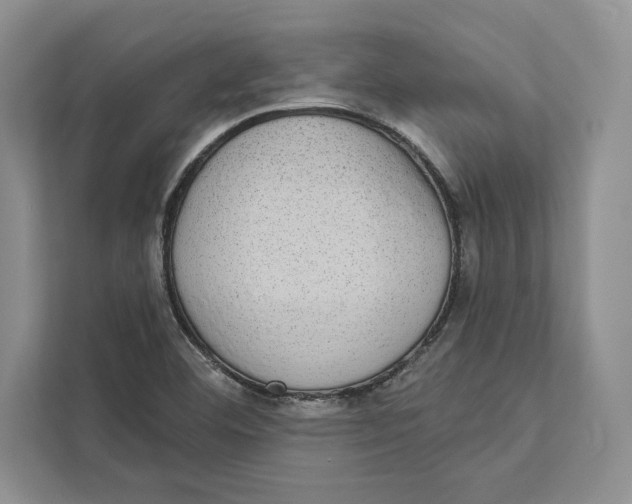 X0000110861460200907091330