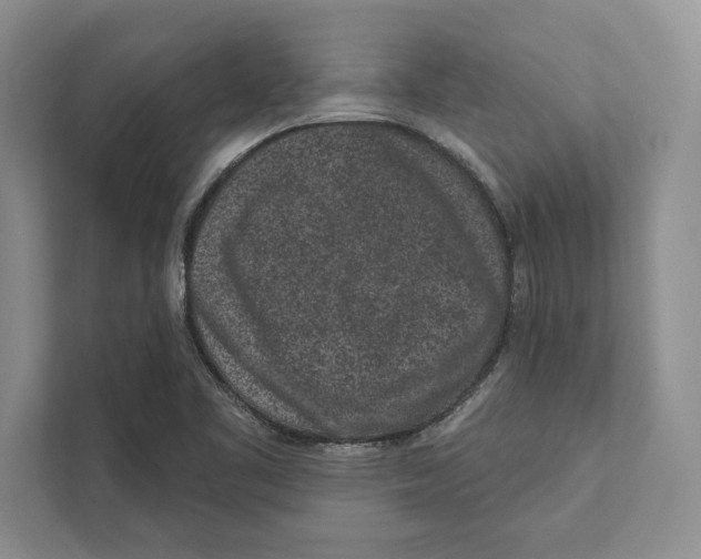 X0000110861461200907091330