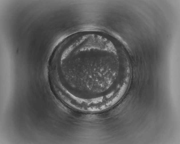 X0000110861463200907091330