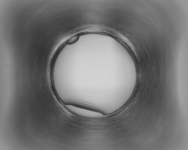 X0000110861464200907091330