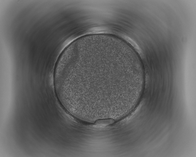 X0000110861465200907091330