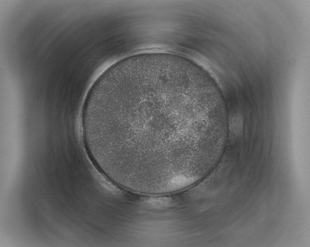 X0000110861466200907091330