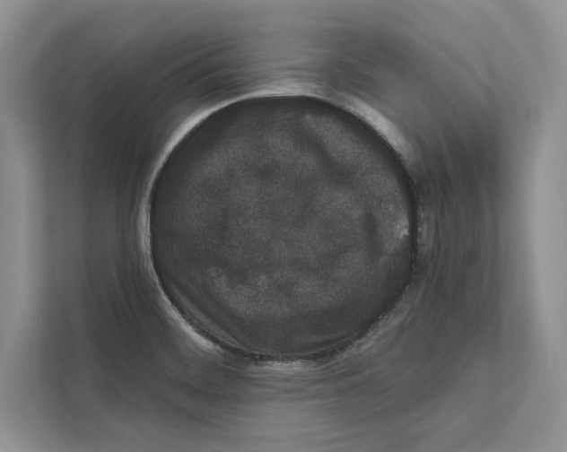 X0000110861468200907091330