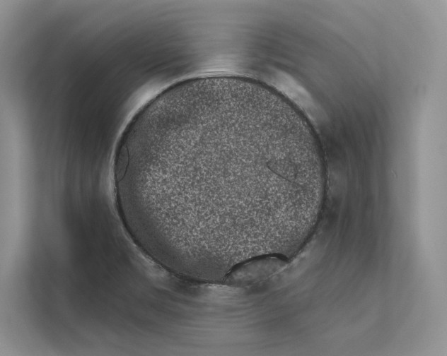 X0000110861469200907091330