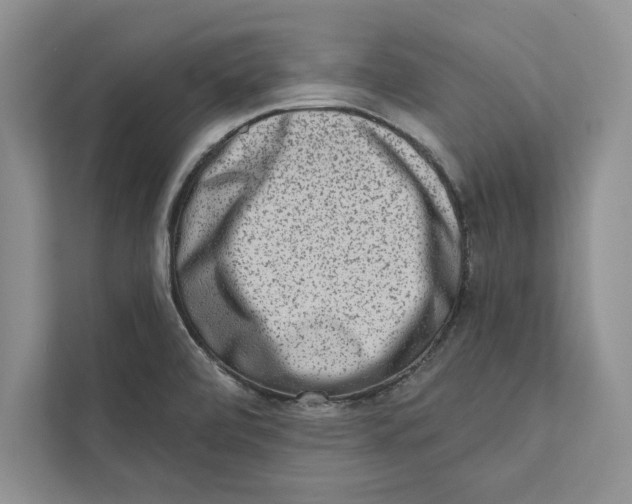 X0000110861472200907091330