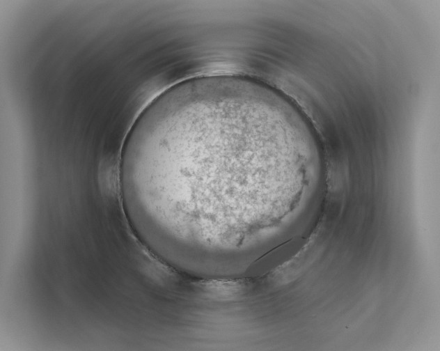 X0000110861473200907091330