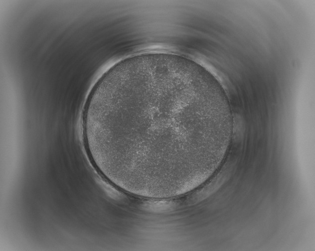 X0000110861474200907091330