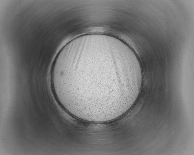 X0000110861475200907091330