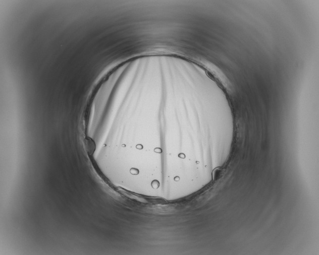 X0000110861476200907091330