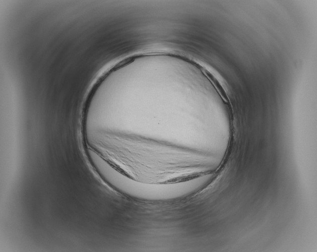 X0000110861477200907091330