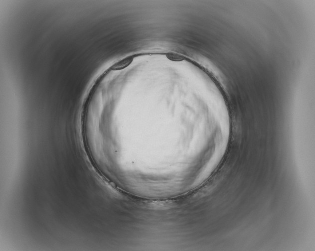 X0000110861480200907091330