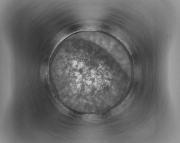 X0000110861481200907091330