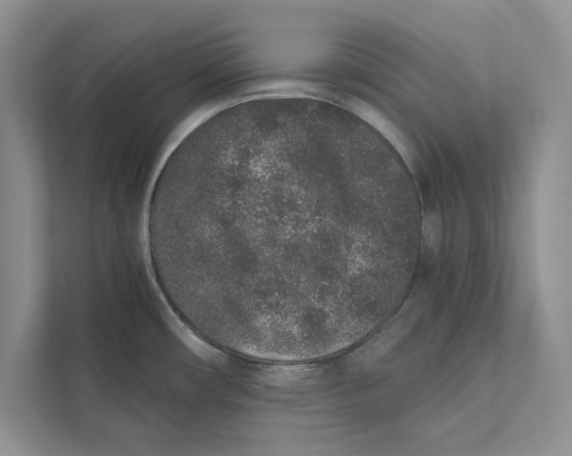 X0000110861482200907091330