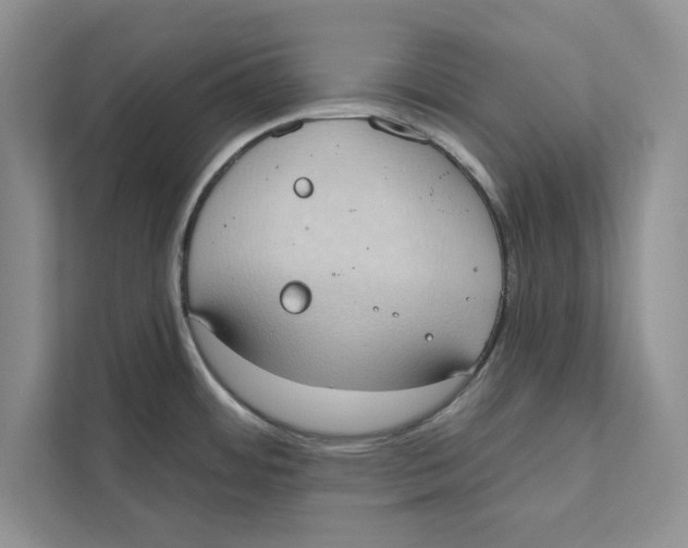 X0000110861484200907091330