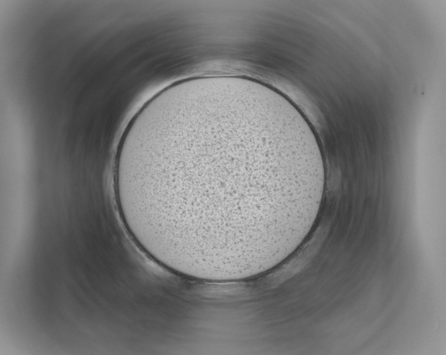 X0000110861486200907091330