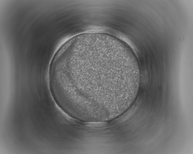 X0000110861487200907091330