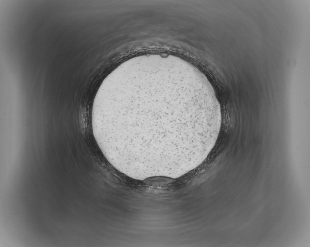 X0000110861490200907091329