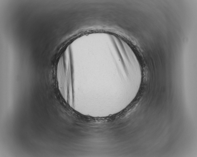 X0000110861494200907091330