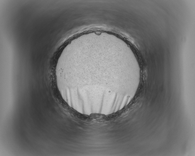 X0000110861496200907091330