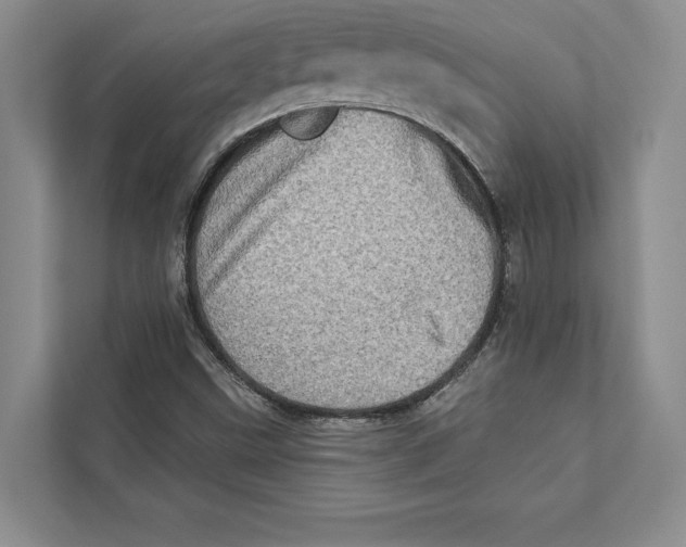 X0000110861499200907091330