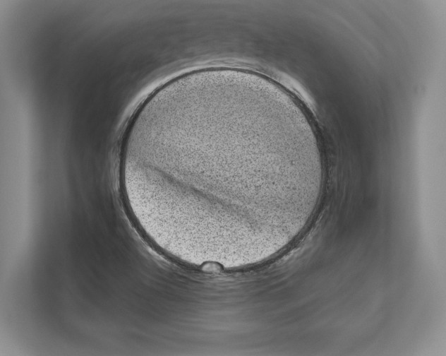 X0000110861504200907091330